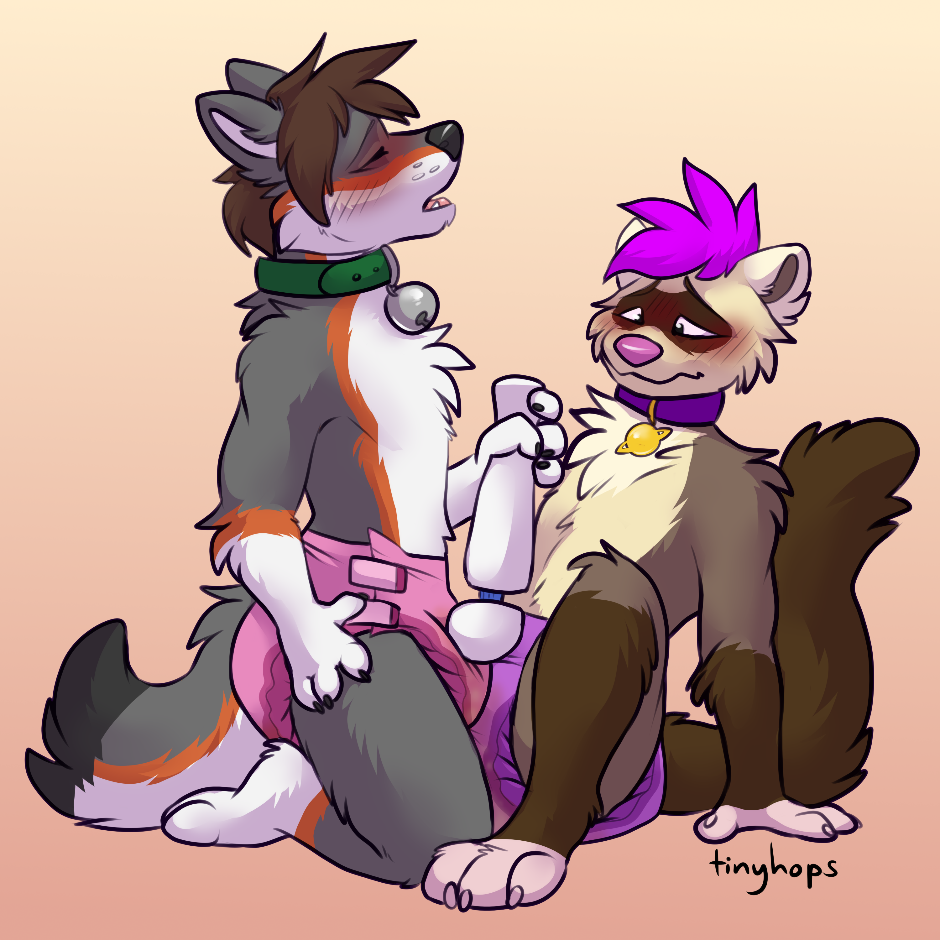 2020 2_males absurd_res anthro anthro/anthro bell bell_collar black_body black_fur black_nose black_tail blush bottomwear brown_hair canid clothing collar diaper dipstick_tail domestic_ferret duo fox fur green_collar grey_body grey_ears grey_fur grey_tail hair hi_res looking_pleasured male male/male mammal markings masculine mask_(marking) masturbation monotone_ears monotone_hair monotone_tail multicolored_body multicolored_fur multicolored_tail multiple_males mustelid open_mouth orange_body orange_fur orange_tail pink_hair pink_nose purple_collar sex_toy tail tail_markings tinyhops vibrator wand_vibrator wearing_diaper weasel white_body white_ears white_fur white_tail