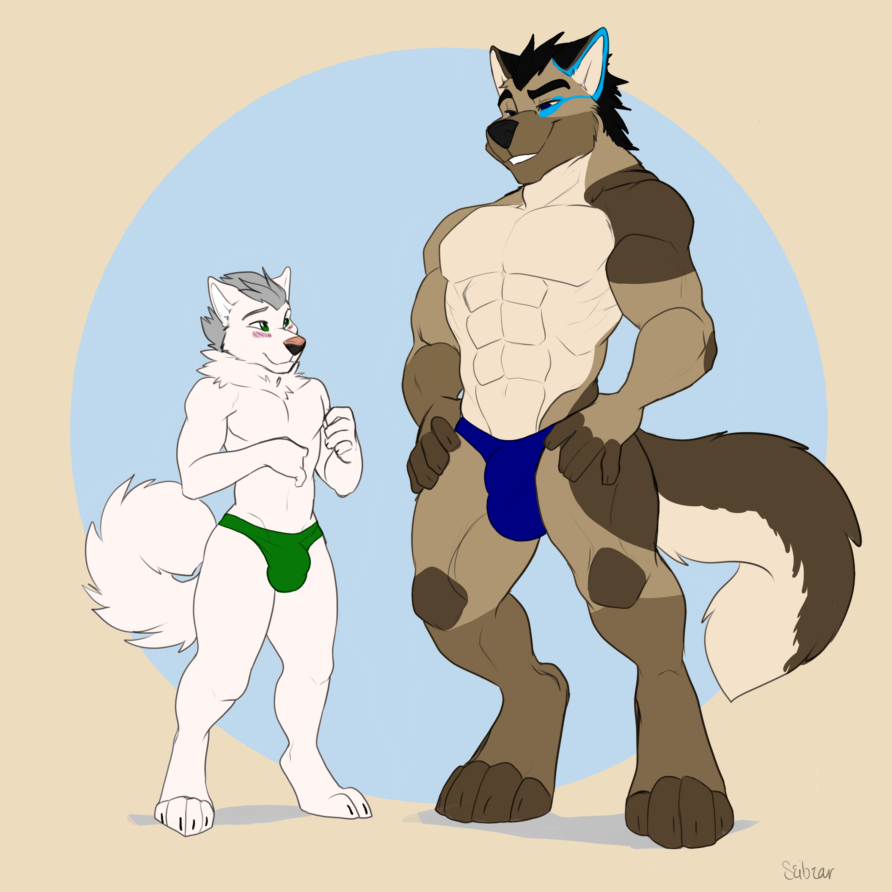 2018 2_males absurd_res anthro black_ears black_nose blue_bottomwear blue_clothing blue_underwear blush bottomwear bottomwear_only brown_body brown_fur brown_tail bulge canid canis clothed clothing curled_tail detailed_bulge domestic_dog duo edan_shepherd fur german_shepherd green_bottomwear green_clothing green_underwear grey_hair grin hair hi_res husky male mammal masculine monotone_ears monotone_fur monotone_hair monotone_tail multiple_males muscular_male raven_lightfoot seibear size_difference tail topless underwear underwear_only white_body white_ears white_fur white_tail