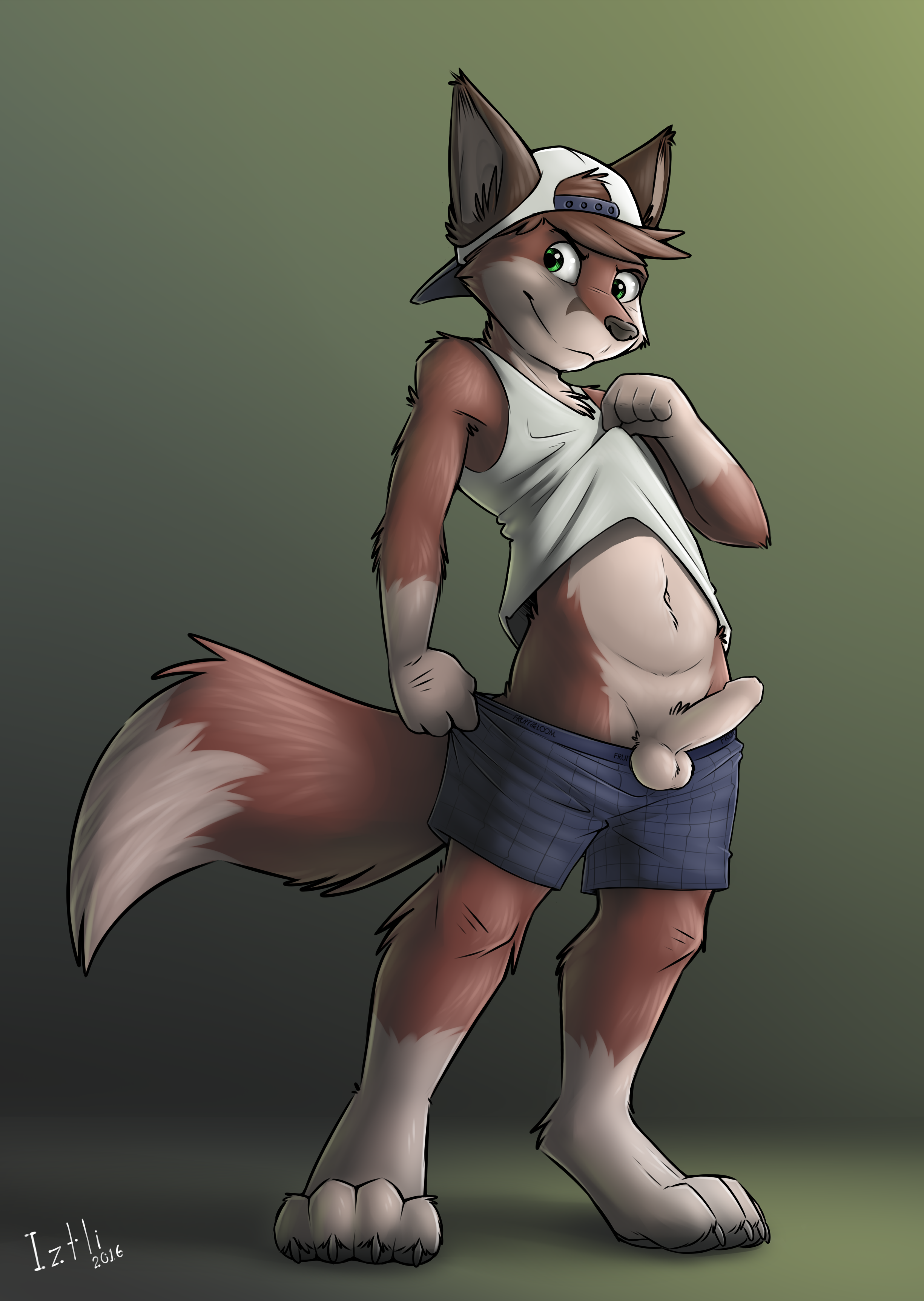 1_male 2016 absurd_res anthro backwards_baseball_cap backwards_hat badboychris balls baseball_cap blue_eyes bottomwear bottomwear_down brown_body brown_ears brown_fur brown_hair brown_tail canid clothed clothing clothing_down clothing_lift dipstick_tail erection foreskin fox fur gloves_(marking) hair hat headwear hi_res humanoid_genitalia humanoid_penis iztli looking_at_viewer male mammal markings masculine midriff multicolored_body multicolored_ears multicolored_fur multicolored_hair multicolored_tail penis shirt shirt_lift shorts shorts_down socks_(marking) solo tail tail_markings topwear topwear_lift two_tone_body two_tone_fur two_tone_tail white_balls white_body white_fur white_penis white_tail