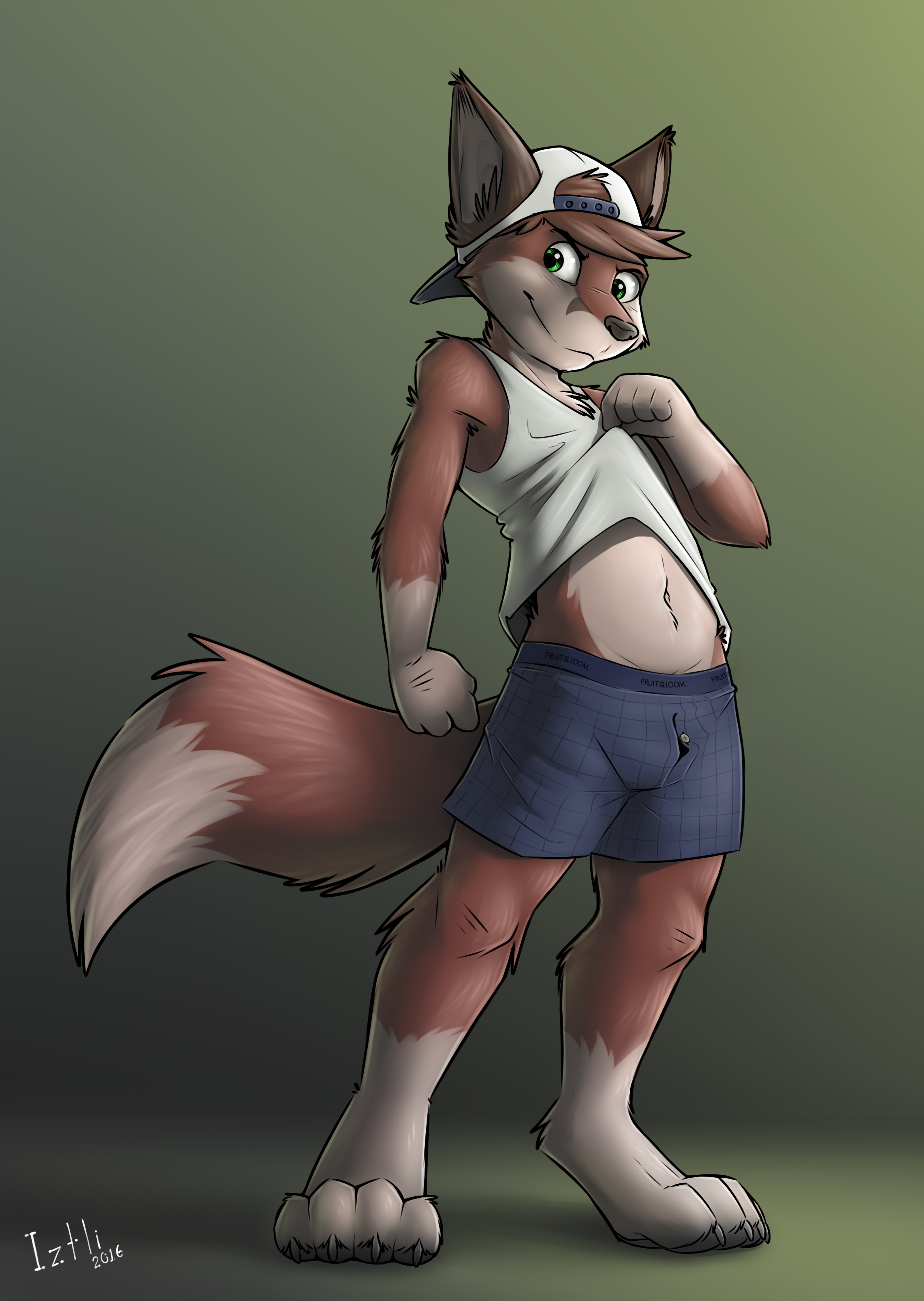 1_male 2016 absurd_res anthro backwards_baseball_cap backwards_hat badboychris baseball_cap blue_eyes brown_body brown_ears brown_fur brown_hair brown_tail canid clothed clothing clothing_lift dipstick_tail fox fur gloves_(marking) hair hat headwear hi_res iztli looking_at_viewer male mammal markings masculine midriff multicolored_body multicolored_ears multicolored_fur multicolored_hair multicolored_tail shirt shirt_lift shorts socks_(marking) solo tail tail_markings topwear topwear_lift two_tone_body two_tone_fur two_tone_tail white_body white_fur white_tail