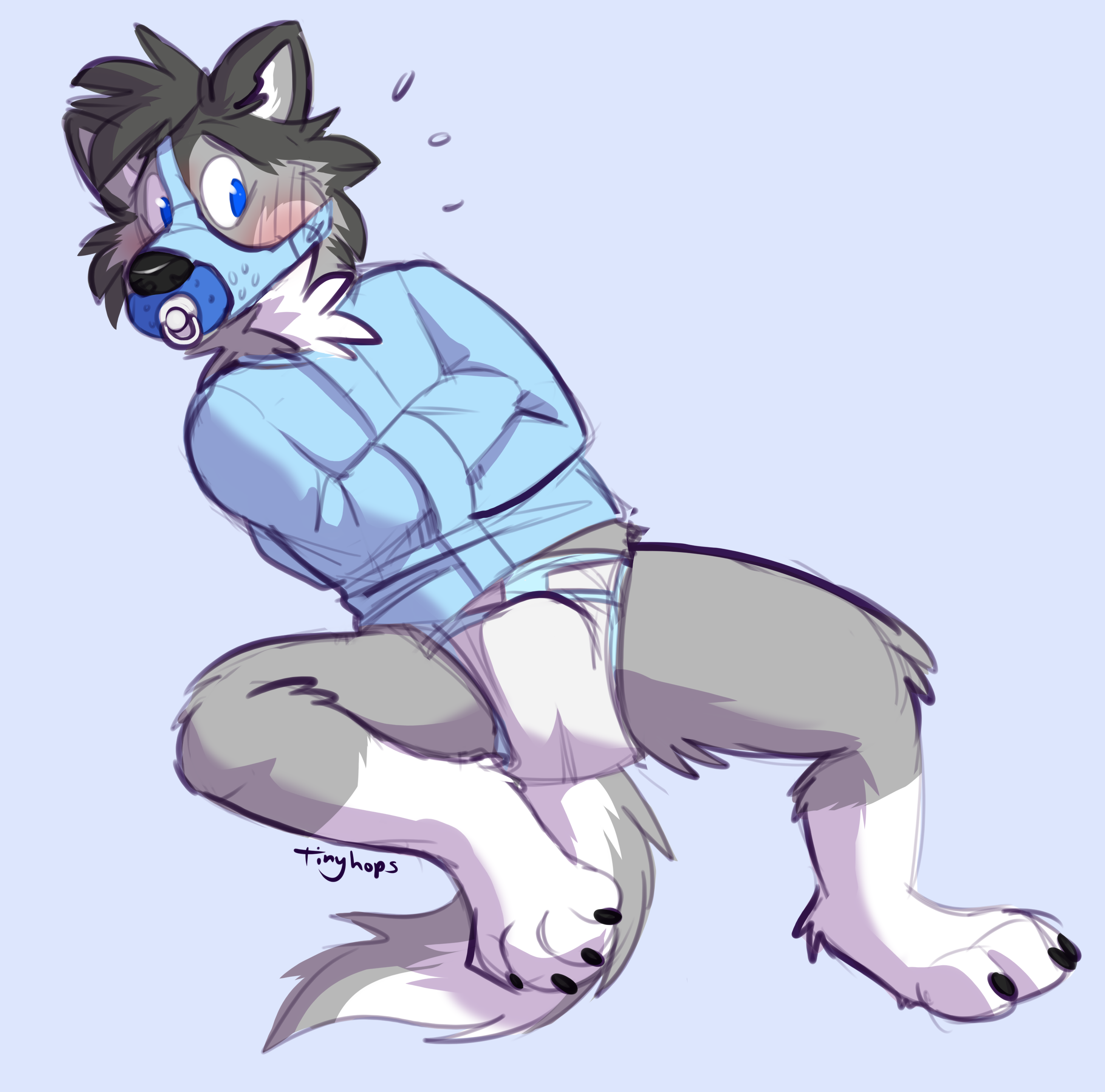 1_male 2019 absurd_res anthro bdsm black_body black_ears black_fur black_hair black_nose blue_eyes blush bottomwear canid canis clothing diaper domestic_dog fur grey_body grey_fur grey_tail hair hi_res male mammal masculine monotone_ears monotone_hair multicolored_hair multicolored_tail muzzle_(object) muzzled object_in_mouth pacifier pacifier_in_mouth restraints solo straitjacket tail tinyhops two_tone_tail wearing_diaper white_body white_fur white_tail