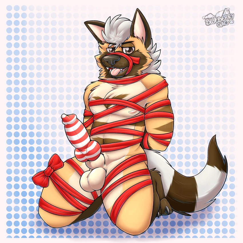 heston created by gaokun