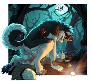 2024 2_males anal anal_penetration animal_genitalia animal_penis anthro anthro/anthro backsack balls black_body black_fur black_nose black_pawpads black_tail blue_eyes butteredshep canid canine_genitalia canine_penis canis curled_tail dipstick_tail domestic_dog duo fur genitals grey_tail hair hi_res husky knot knotted_penis male male/male mammal markings masculine multicolored_body multicolored_fur multicolored_tail multiple_males onomatopoeia pawpads paws penetration penile penile_penetration penis penis_in_ass pink_pawpads plap purple_hair sheath sound_effect tail tail_markings text thrusting two_tone_tail white_balls white_body white_fur white_sheath white_tail