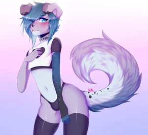 1_male 2018 anthro australian_shepherd bite biting_lip biting_own_lip black_bottomwear black_clothing black_ears black_legwear black_nose black_thigh_highs black_thong blue_body blue_eyes blue_fur blue_hair blue_nose blue_tail blush bottomwear canid canis clothing crop_top curled_tail dipstick_ears domestic_dog femboy feminine floppy_ears fur grey_body grey_ears grey_fur grey_nose grey_tail hair legwear looking_at_viewer male mammal midriff monotone_hair multicolored_body multicolored_ears multicolored_fur multicolored_tail rileymutt rokumaki shirt solo tail thigh_highs thong topwear two_tone_ears underwear white_body white_fur white_tail