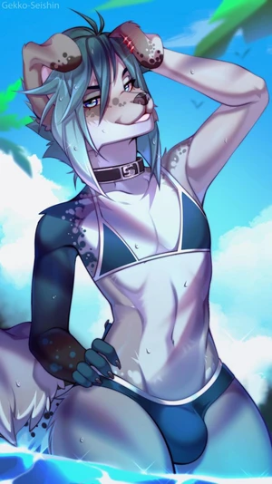 1_male 2021 anthro australian_shepherd bikini black_ears black_nose blue_bikini blue_body blue_bottomwear blue_clothing blue_eyes blue_fur blue_hair blue_nose blue_swimwear blue_tail blue_underwear bottomwear bulge canid canis clothing collar curled_tail dipstick_ears domestic_dog femboy feminine floppy_ears fur gekko-seishin grey_body grey_ears grey_fur grey_nose grey_tail hair hi_res looking_at_viewer male mammal monotone_hair multicolored_body multicolored_ears multicolored_fur multicolored_tail rileymutt solo swimwear tail two-piece_swimsuit two_tone_ears underwear white_body white_fur white_tail