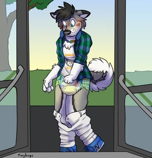 1_male 2019 absurd_res abuniverse anthro black_body black_ears black_fur black_hair black_nose black_tail blue_eyes blush bottomwear bottomwear_down canid canis clothing clothing_down curled_tail diaper dipstick_ears domestic_dog embarrassed fur genital_fluids grey_body grey_ears grey_fur grey_tail hair hi_res husky littlepawz littlepawz_(diaper) male mammal masculine monotone_hair multicolored_body multicolored_ears multicolored_fur multicolored_tail pants pants_down public solo tail tinyhops two_tone_ears unclean_diaper urine used_diaper wearing_diaper wet_diaper white_tail