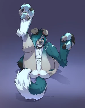 1_male 2021 anthro anus ass australian_shepherd balls black_ears black_nose black_pawpads blue_body blue_eyes blue_fur blue_hair blue_nose blue_pawpads blue_tail canid canis collar curled_tail dipstick_ears domestic_dog floppy_ears fur grey_body grey_ears grey_fur grey_nose grey_pawpads grey_tail hair hi_res julicat looking_at_viewer male mammal masculine monotone_hair multicolored_body multicolored_ears multicolored_fur multicolored_tail pawpads rileymutt solo spreading spreading_ass spreading_own_ass tail two_tone_ears white_balls white_body white_fur white_tail