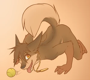 1_male 2012 anthro black_body black_ears black_fur black_hair black_nose black_tail canid canis digital_media_(artwork) domestic_dog fur hair lockworkorange looking_at_viewer male mammal masculine multicolored_body multicolored_fur multicolored_tail orange_eyes solo tail tennis_ball tongue tongue_out two_tone_body two_tone_fur two_tone_tail white_body white_fur white_tail