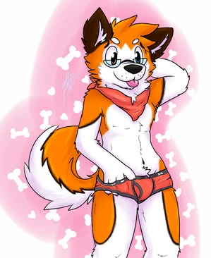 1_male 2016 anthro black_body black_ears black_fur black_nose black_tail blep blue_eyes bottomwear canid canis clothing domestic_dog eyewear fur gaokun glasses hair hand_behind_head hand_in_underwear heterochromia kerchief male mammal masculine monotone_ears monotone_hair multicolored_body multicolored_fur multicolored_tail orange_body orange_eyes orange_fur orange_hair orange_tail red_bandana red_bottomwear red_clothing red_kerchief red_underwear solo tail tongue tongue_out underwear white_body white_fur white_tail
