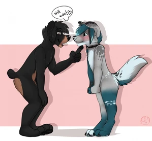 2015 2_males anixis_(character) annoyed anthro australian_shepherd black_body black_ears black_fur black_hair black_nose black_tail blue_body blue_eyes blue_fur blue_hair blue_nose blue_tail blush brown_body brown_fur brown_tail canid canis carifoxleopard curled_tail dialogue dipstick_ears domestic_dog duo english_text floppy_ears fur grey_body grey_ears grey_fur grey_tail hair male mammal masculine monotone_ears monotone_hair multicolored_body multicolored_ears multicolored_fur multicolored_tail multiple_males rileymutt tail two_tone_body two_tone_ears two_tone_fur two_tone_tail white_body white_fur white_tail