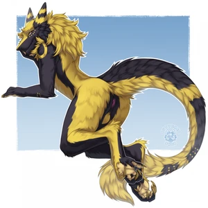 1_male 2024 absurd_res anthro anus balls black_body black_fur black_tail butteredshep dipstick_ears fur hair hi_res jackel_(hacksource553) looking_at_viewer looking_back looking_back_at_viewer male masculine monotone_hair multicolored_body multicolored_ears multicolored_fur multicolored_tail orange_eyes sergal solo tail two_tone_body two_tone_ears two_tone_fur two_tone_tail yellow_balls yellow_body yellow_fur yellow_hair yellow_tail
