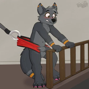 1_male 2024 absurd_res animal_genitalia anthro balls black_body black_ears black_fur black_tail blush canid canis dipstick_ears fox fully_sheathed fur gaokun genitals grey_balls grey_body grey_ears grey_fur grey_hair grey_sheath grey_tail hair hi_res male mammal masculine monotone_hair multicolored_body multicolored_ears multicolored_fur multicolored_tail pawpads pink_pawpads sheath solo tail torn_clothing wolf yellow_body yellow_ears yellow_fur yellow_tail