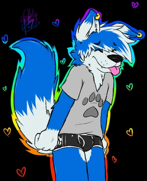 1_male absurd_res anthro black_nose blep blue_body blue_fur blue_hair blue_tail border_collie bottomwear boxer_briefs bulge canid canis clothing dipstick_ears dipstick_tail domestic_dog floppy_ears fur gao_(gaokun) gaokun hair hi_res hybrid male mammal markings masculine multicolored_body multicolored_ears multicolored_fur multicolored_hair multicolored_tail samoyed solo tail tail_markings tongue tongue_out two_tone_body two_tone_ears two_tone_fur two_tone_hair two_tone_tail underwear white_body white_fur white_hair white_tail