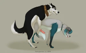 2019 anal anal_penetration animal_penis australian_shepherd balto_(series) black_body black_ears black_fur black_nose blue_body blue_fur blue_hair blue_nose blue_tail canid canine_genitalia canine_penis canis cum dipstick_ears domestic_dog duo fenn.perrox feral feral/feral feral_penetrated feral_penetrating feral_penetrating_feral floppy_ears fur genital_fluids grey_body grey_ears grey_fur grey_nose grey_tail hair knot knotted_penis male male/male male_penetrated male_penetrating male_penetrating_male mammal masculine monotone_ears monotone_hair multicolored_body multicolored_ears multicolored_fur multicolored_tail multiple_males penetration penile penile_penetration penis penis_in_ass rileymutt sex steele_(balto) tail two_tone_body two_tone_ears two_tone_fur two_tone_tail universal_studios white_body white_fur white_tail