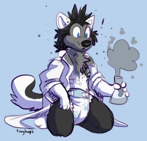 1_male 2019 anthro black_body black_fur black_hair black_nose black_tail blue_eyes bottomwear canid canis chemistry clothing coat diaper domestic_dog fur grey_body grey_fur hair husky lab_coat male mammal masculine monotone_ears monotone_hair multicolored_body multicolored_fur multicolored_tail solo surprised tail tinyhops topwear two_tone_tail wearing_diaper white_body white_clothing white_coat white_ears white_fur white_lab_coat white_tail white_topwear