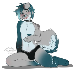 1_male 2021 anthro australian_shepherd black_bottomwear black_clothing black_ears black_nose black_panties black_underwear blue_body blue_eyes blue_fur blue_hair blue_nose blue_tail blush bottomwear canid canis clothing collar curled_tail dipstick_ears domestic_dog femboy feminine floppy_ears fur grey_body grey_ears grey_fur grey_tail hair hi_res kittydee looking_at_viewer male mammal monotone_hair multicolored_body multicolored_ears multicolored_fur multicolored_tail panties rileymutt solo tail two_tone_ears underwear white_body white_fur white_tail