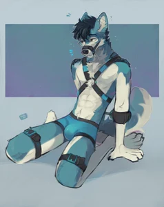 1_male 2023 alikars anthro black_hair black_nose blue_body blue_bottomwear blue_clothing blue_fur blue_tail blue_underwear bottomwear bottomwear_only bulge canid clothed clothing fur hair harness hi_res looking_aside male mammal masculine monotone_ears monotone_hair multicolored_body multicolored_fur multicolored_tail orange_eyes solo tail topless two_tone_body two_tone_fur two_tone_tail underwear underwear_only white_body white_fur white_tail