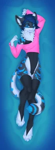 1_male 2020 absurd_res anthro black_clothing black_legwear black_thigh_highs black_unitard blue_body blue_eyes blue_fur blue_hair blue_nose blue_tail bulge clothed clothing detailed_bulge dipstick_tail felid femboy feminine fur grey_body grey_fur grey_tail hair hi_res inner_ear_fluff kilow legwear male mammal markings multicolored_body multicolored_ears multicolored_fur multicolored_tail off_shoulder pink_clothing pink_topwear psd_export solo tail tail_markings thigh_highs topwear tuft two_tone_ears unitard valkoinen white_body white_fur white_inner_ear white_tail