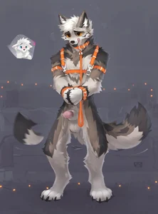 1_male 1_unknown 2024 alikars animal_genitalia anthro black_body black_fur black_nose black_pawpads black_tail blue_eyes brown_body brown_fur brown_tail canid collar dipstick_tail dripping fox fur genital_fluids genitals gloves_(marking) grey_ears hair harness hi_res leash licking licking_lips licking_own_lips lipsticking male mammal markings masculine monotone_ears monotone_fur monotone_haur multicolored_body multicolored_fur multicolored_tail offscreen_character orange_eyes pawpads paws penis penis_tip precum precum_drip sheath socks_(marking) solo solo_focus tail tail_markings tailwag unknown_gender white_body white_ears white_fur white_hair white_tail wrists_tied