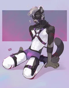 1_male 2023 alikars anthro black_body black_ears black_fur black_tail bottomwear bottomwear_only bulge clothed clothing dipstick_tail fangs felid fur grey_eyes grey_hair grey_tail hair harness hi_res male mammal markings masculine multicolored_ears multicolored_tail pink_nose purple_bottomwear purple_clothing purple_underwear red_body red_fur red_tail sabertooth_(anatomy) solo tail tail_markings teeth topless two_tone_ears underwear underwear_only white_body white_ears white_fur