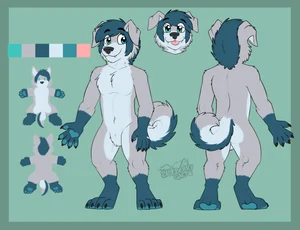 2021 anthro australian_shepherd black_nose blep blue_body blue_eyes blue_fur blue_hair blue_pawpads blue_tail canid canis chibi curled_tail domestic_dog floppy_ears fur gaokun gloves_(marking) grey_body grey_fur grey_tail hair hi_res looking_at_viewer maidboye male mammal markings masculine model_sheet monotone_ears monotone_hair multicolored_body multicolored_fur multicolored_tail multiple_poses pawpads solo tail tongue tongue_out watermark white_body white_fur white_tail