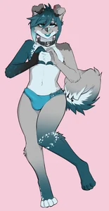 1_male 2022 6my <3 anthro australian_shepherd black_ears black_nose blue_body blue_bottomwear blue_clothing blue_eyes blue_fur blue_hair blue_nose blue_panties blue_tail blue_underwear bottomwear bulge canid canis clothing collar curled_tail detailed_bulge dipstick_ears domestic_dog femboy floppy_ears fur genital_outline grey_body grey_ears grey_fur grey_nose grey_tail hair hi_res looking_at_viewer male mammal masculine monotone_hair multicolored_body multicolored_ears multicolored_fur multicolored_tail panties penis_outline rileymutt solo tail two_tone_ears underwear white_body white_fur white_tail