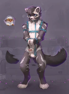 1_male 2024 alikars animal_genitalia anthro balls black_body black_ears black_fur black_hair black_nose black_tail blue_eyes blush brown_body brown_ears brown_fur canid collar domestic_ferret dripping duo eyewear fox fur genital_fluids genitals glasses hair harness hi_res leash licking licking_lips licking_own_lips lipsticking male mammal masculine monotone_hair monotone_tail multicolored_ears mustelid offscreen_character orange_ears pawpads paws penis penis_tip pink_pawpads precum precum_drip sheath solo_focus tail tailwag two_tone_ears weasel white_balls white_body white_ears white_fur white_hair white_sheath wrists_tied