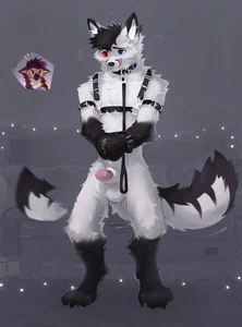 1_male 1_unknown 2024 alikars animal_genitalia anthro black_body black_ears black_fur black_hair black_tail blue_eyes brown_body brown_fur canid collar dripping duo fur genital_fluids genitals gloves_(marking) grey_pawpads hair harness heterochromia hi_res leash licking licking_lips licking_own_lips lipsticking male mammal markings masculine monotone_hair multicolored_body multicolored_ears multicolored_fur multicolored_hair multicolored_tail offscreen_character pawpads paws penis penis_tip precum precum_drip purple_hair red_eyes sheath socks_(marking) solo_focus tail tailwag two_tone_body two_tone_ears two_tone_fur two_tone_hair two_tone_tail unknown_gender white_body white_ears white_fur white_tail wrists_tied